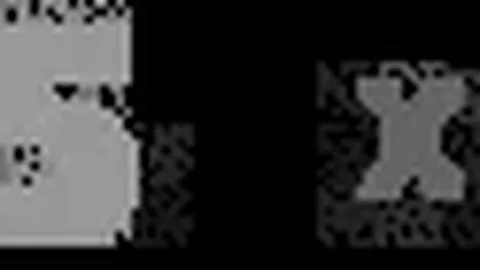 石宇奇马来西亚羽球男单成功晋级四强